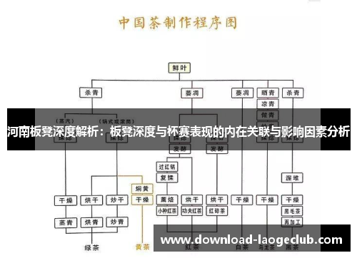河南板凳深度解析：板凳深度与杯赛表现的内在关联与影响因素分析