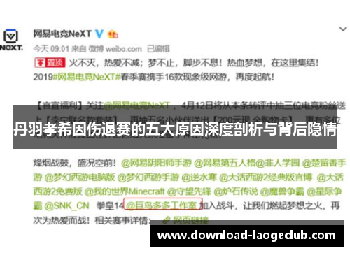 丹羽孝希因伤退赛的五大原因深度剖析与背后隐情