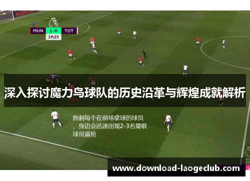 深入探讨魔力鸟球队的历史沿革与辉煌成就解析