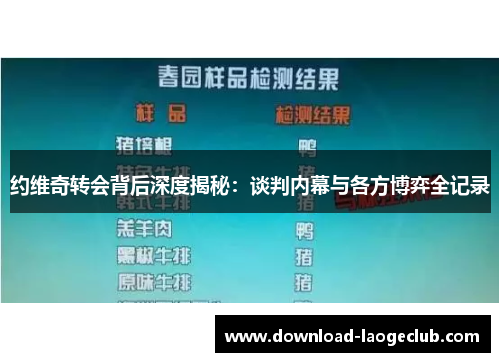 约维奇转会背后深度揭秘：谈判内幕与各方博弈全记录