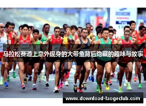 马拉松赛道上意外现身的大带鱼背后隐藏的趣味与故事