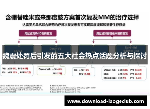 魏震处罚后引发的五大社会热点话题分析与探讨