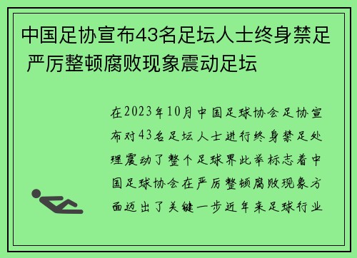 中国足协宣布43名足坛人士终身禁足 严厉整顿腐败现象震动足坛