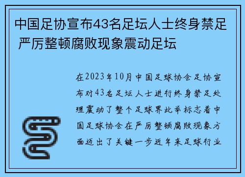 中国足协宣布43名足坛人士终身禁足 严厉整顿腐败现象震动足坛 中国足协宣布43名足坛人士终身禁足 严厉整顿腐败现象震动足坛